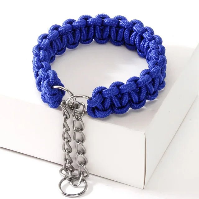 Close-up of adjustable nylon dog collar with strong metal D-ring for leash attachment, training.