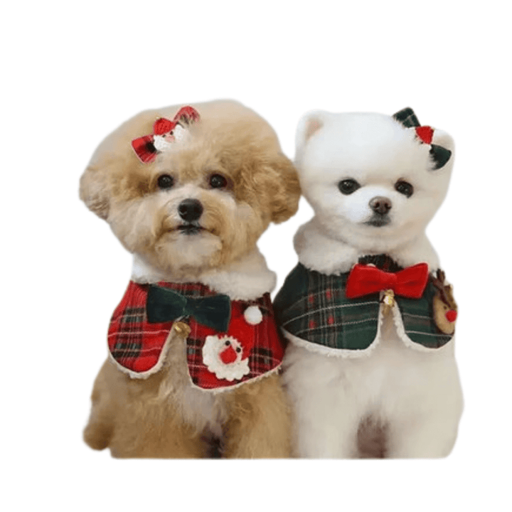 Unisex plaid dog bandana & matching collar, perfect for holiday pet fashion.