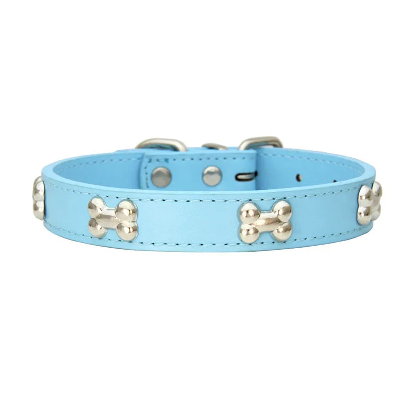 Small dog wearing a blue adjustable breakaway safety collar, perfect puppy fit.