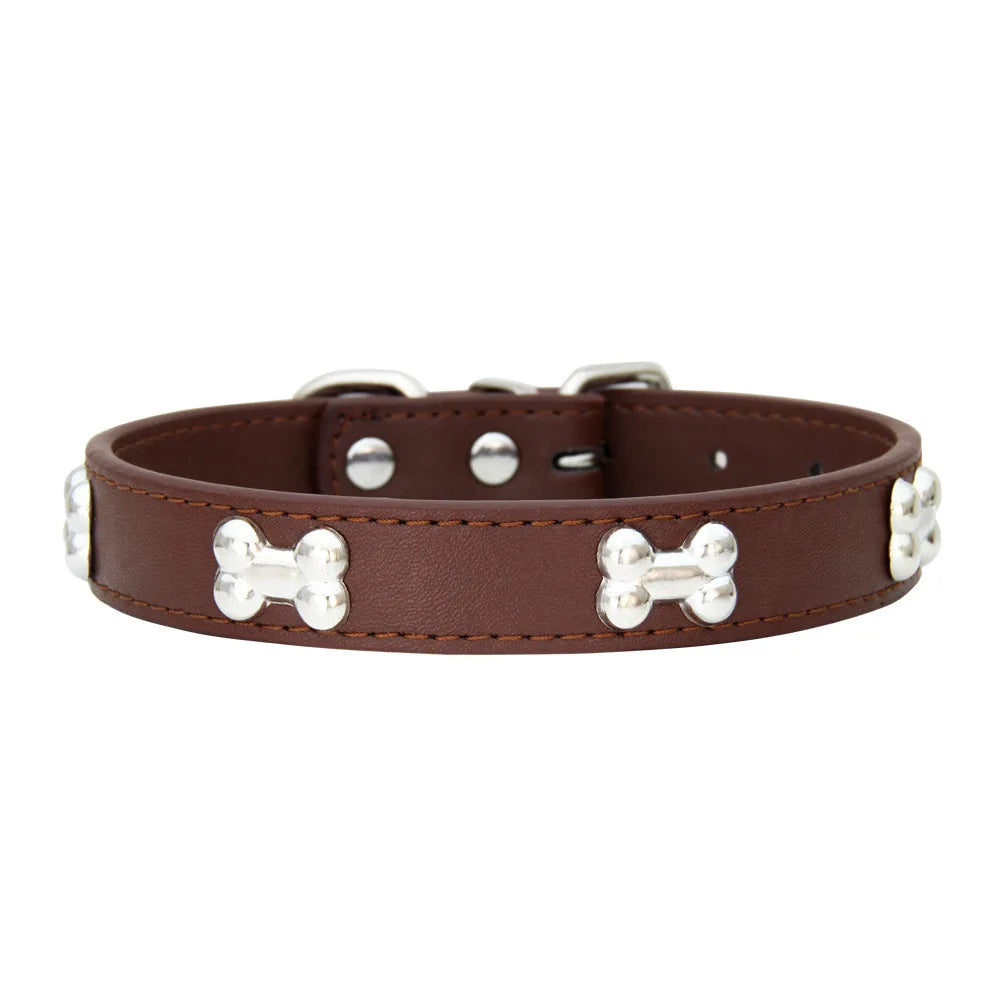 Puppy modeling a green lightweight safety collar, comfortable and secure design.