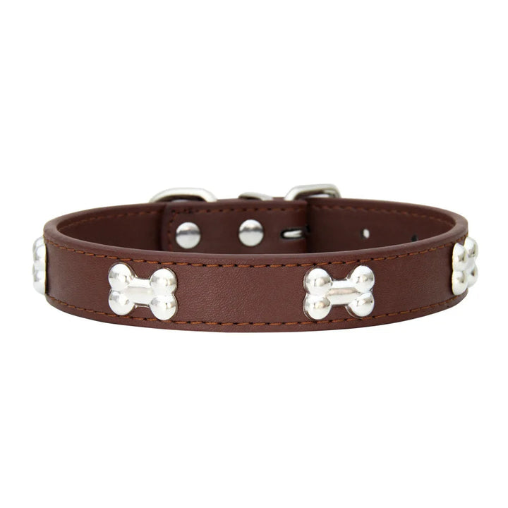 Puppy modeling a green lightweight safety collar, comfortable and secure design.