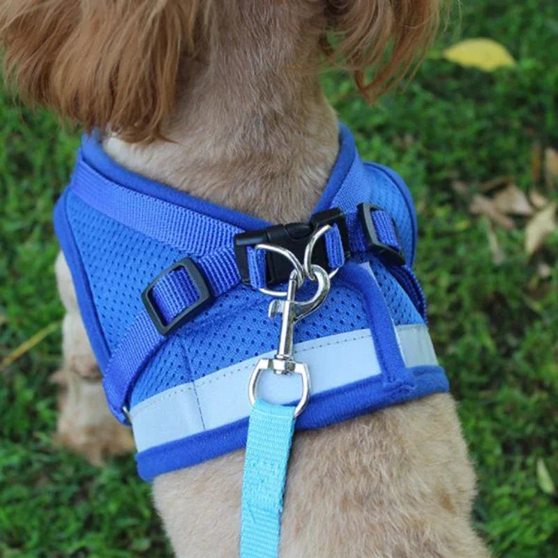 Side view of a purple breathable dog harness and leash, lightweight and perfect for walks