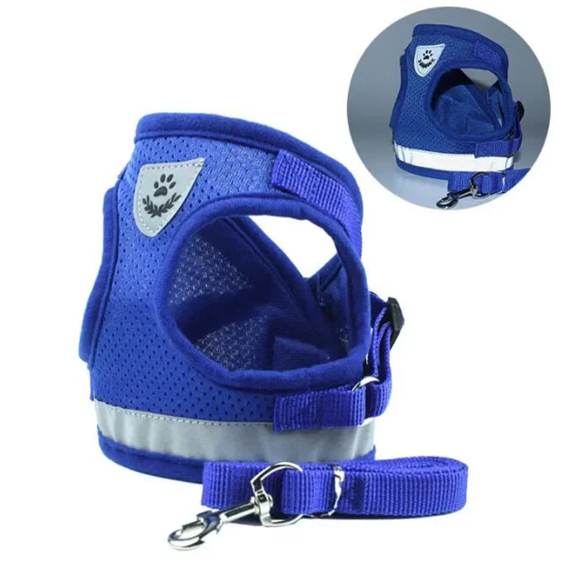 Grey breathable mesh dog harness and leash, designed for comfort and control during dog walks