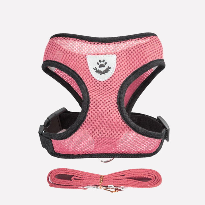 Blue mesh pet harness with matching leash, designed for comfortable dog walking and training.