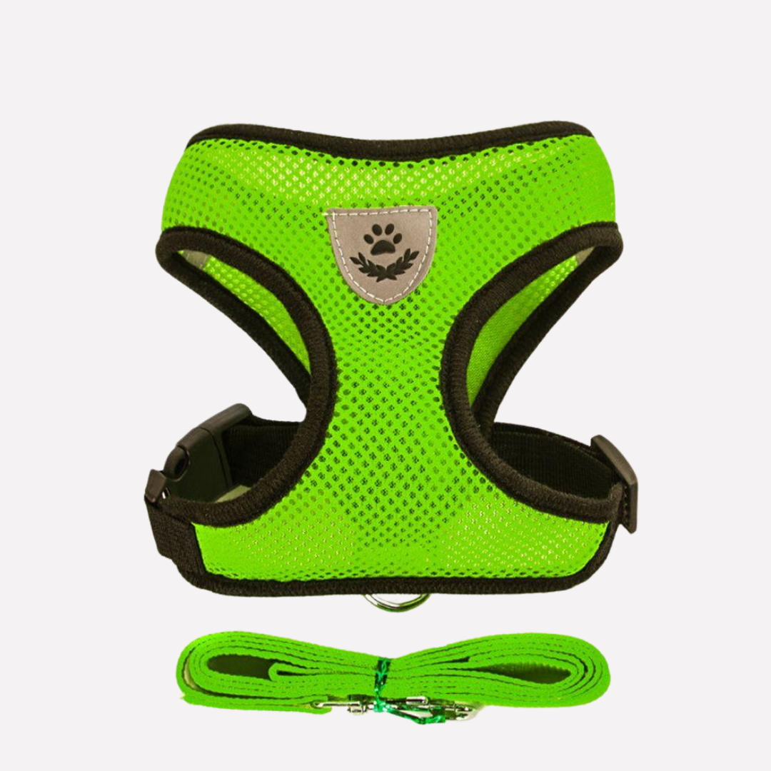 Close-up of a green breathable vest harness for puppies, showing durable mesh fabric and buckles.