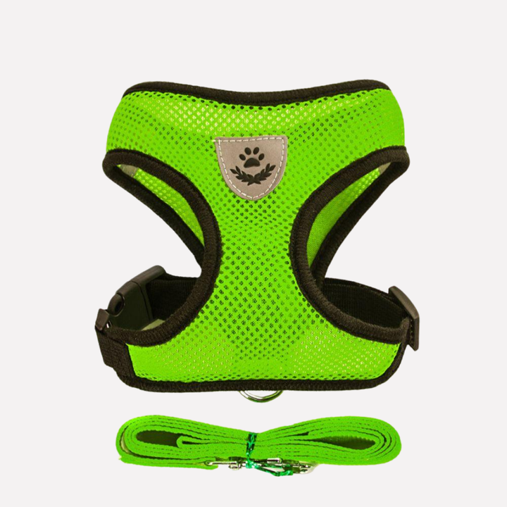 Close-up of a green breathable vest harness for puppies, showing durable mesh fabric and buckles.