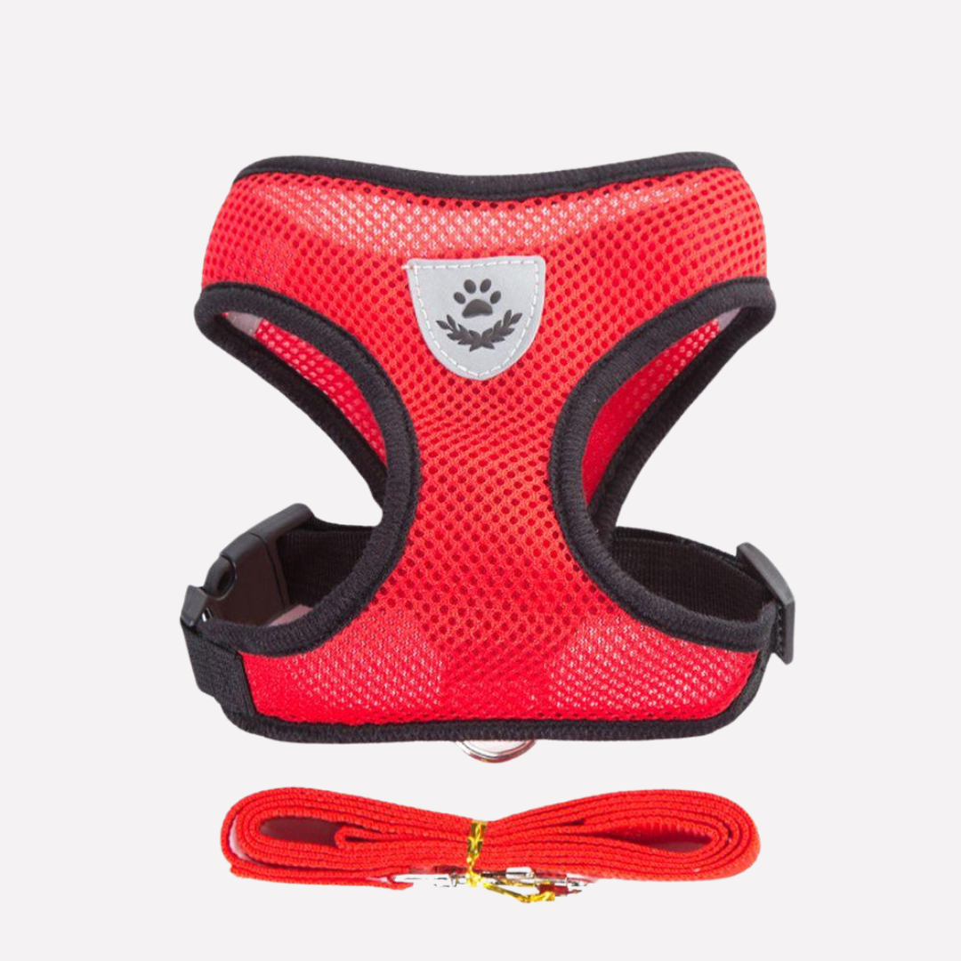 Orange mesh dog harness and leash combo, offering comfort and security for small pets during walks.
