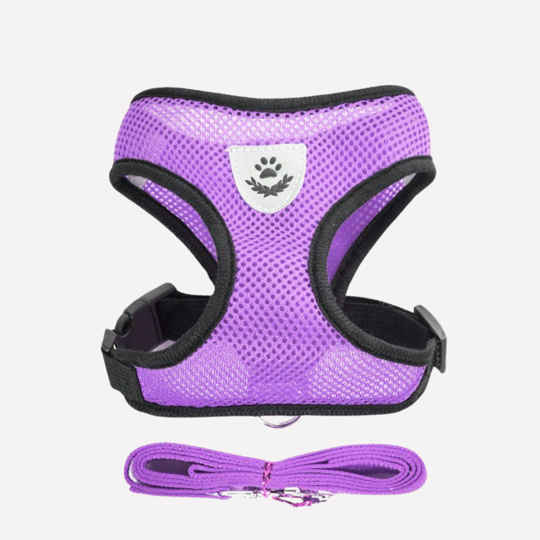 Adjustable mesh puppy harness with reflective strips and leash, essential pet gear for small dogs.