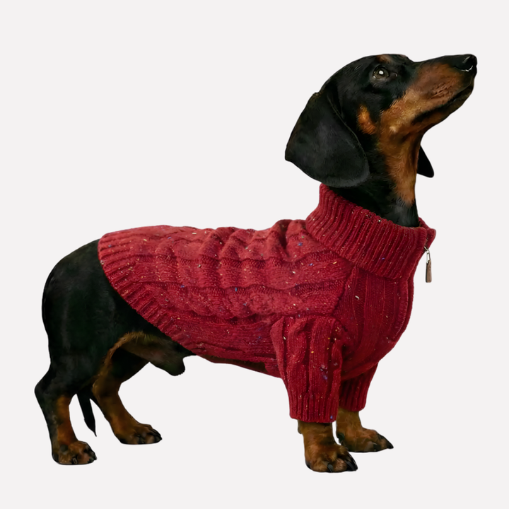 Red cable knit dog jumper with zipper collar, front view, perfect for small dog winter apparel.