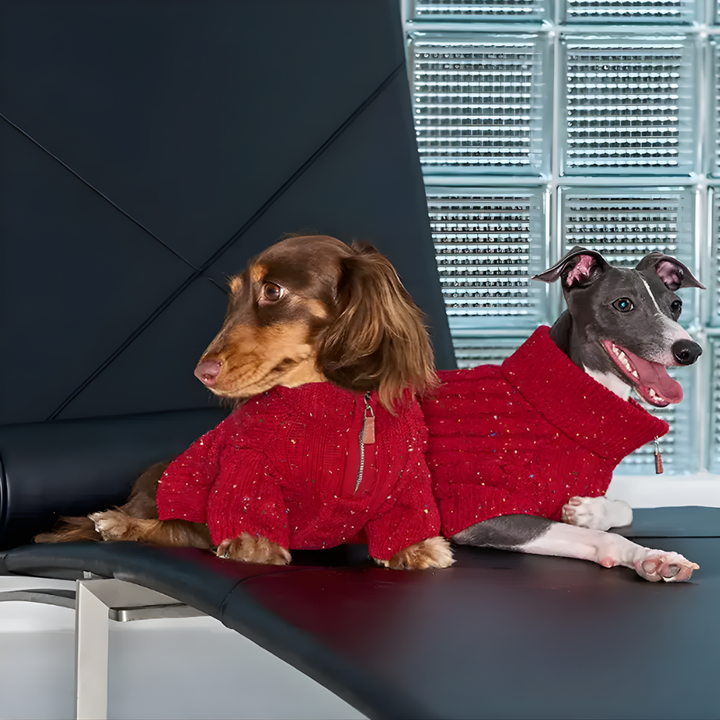 Close-up of the textured cable knit and brass zipper collar on a vibrant red dog jumper.