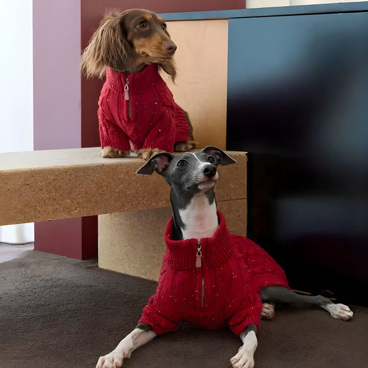 Red pet sweater, cable knit design with open zipper collar, shown on a white background.