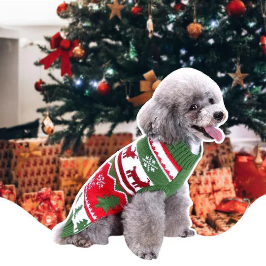 Cute dog wearing a red Christmas jumper with snowflakes, perfect winter pet clothes