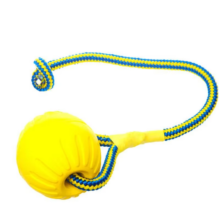 Interactive dog enrichment toy, a rugged ball with integrated rope for prolonged play