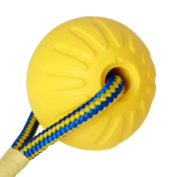 Purple durable dog toy ball, ideal for large breeds and strong chewers, for fetch & tugging