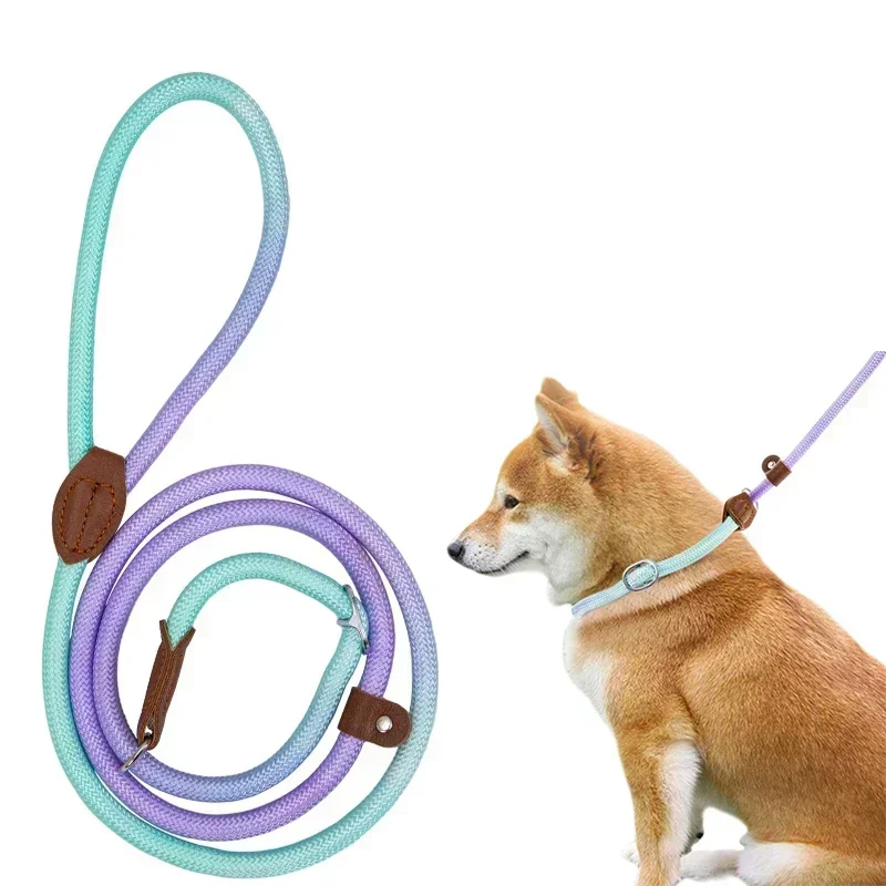 Black durable nylon dog leash, ergonomic and tangle-free for long-lasting pet supplies.