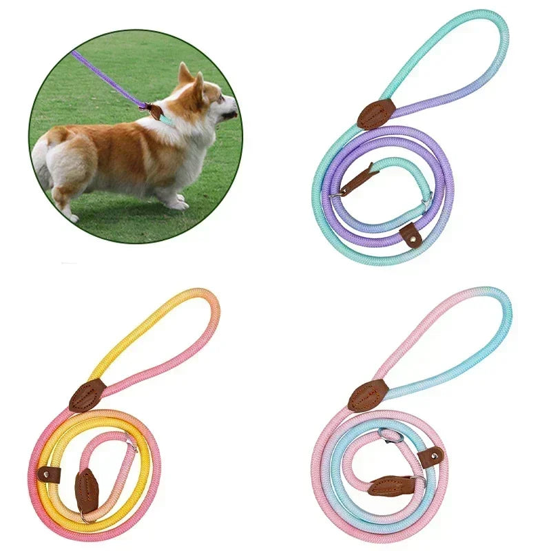 Yellow ergonomic nylon dog leash, featuring a comfortable grip for active dog walking.