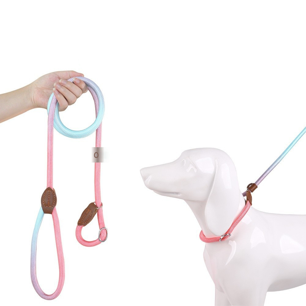 Purple tangle-free nylon dog leash, ergonomic design ensures comfort and durability.