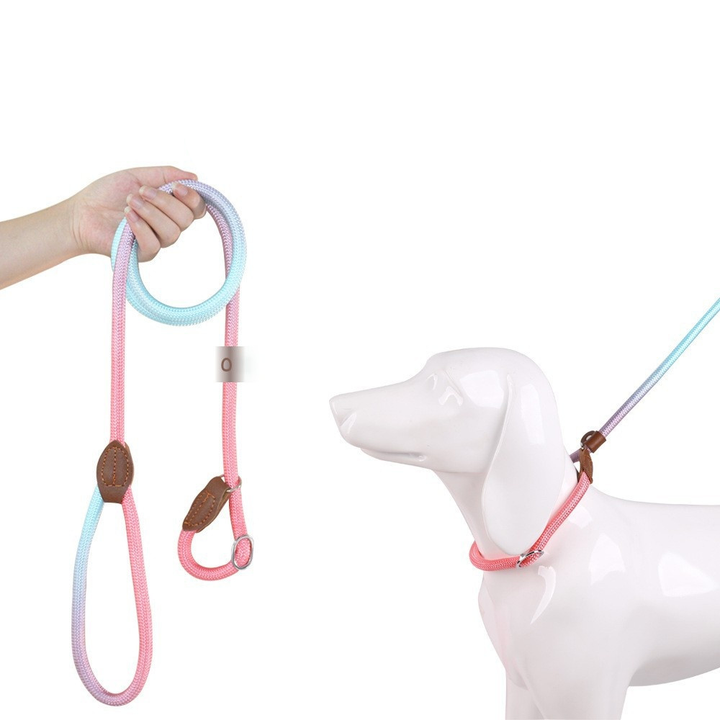 Purple tangle-free nylon dog leash, ergonomic design ensures comfort and durability.