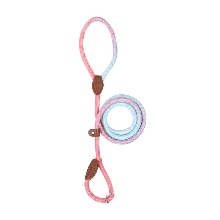 Close-up of comfortable ergonomic handle on a nylon dog leash, tangle-free design.