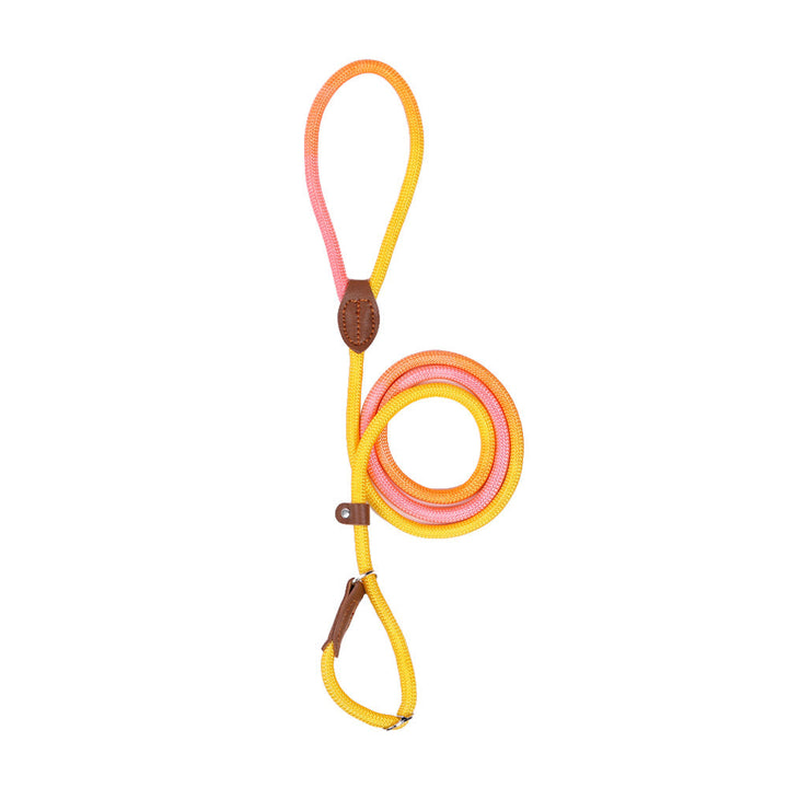 Assortment of colorful ergonomic nylon dog leashes, durable and comfortable for pets.