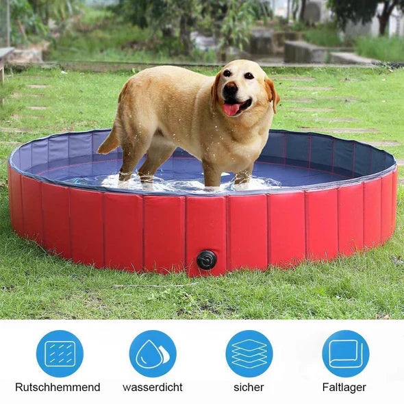 Blue collapsible dog pool with paw prints, ideal for pet supplies and water play