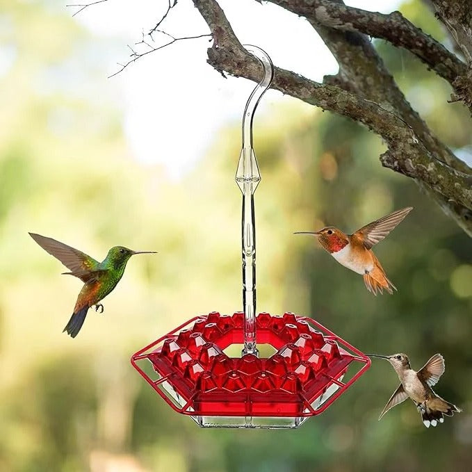 Red glass hummingbird feeder with ant moat, perch, and flower feeding ports, hanging outdoors