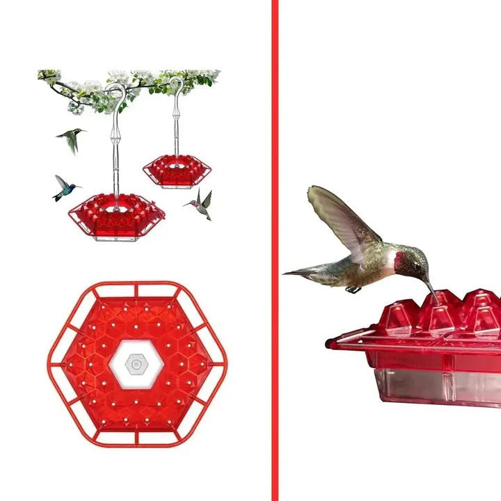 Hanging hummingbird feeder featuring a sturdy perch and effective ant moat, pet supplies accessory