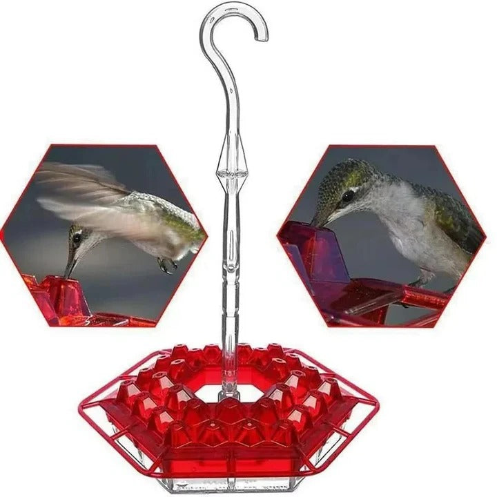 Vibrant red glass hummingbird feeder with multiple feeding stations and clear ant moat feature