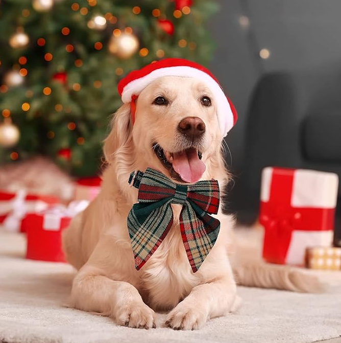 Red & green checkered dog collar with festive bow tie, adjustable, for Christmas pet fashion.