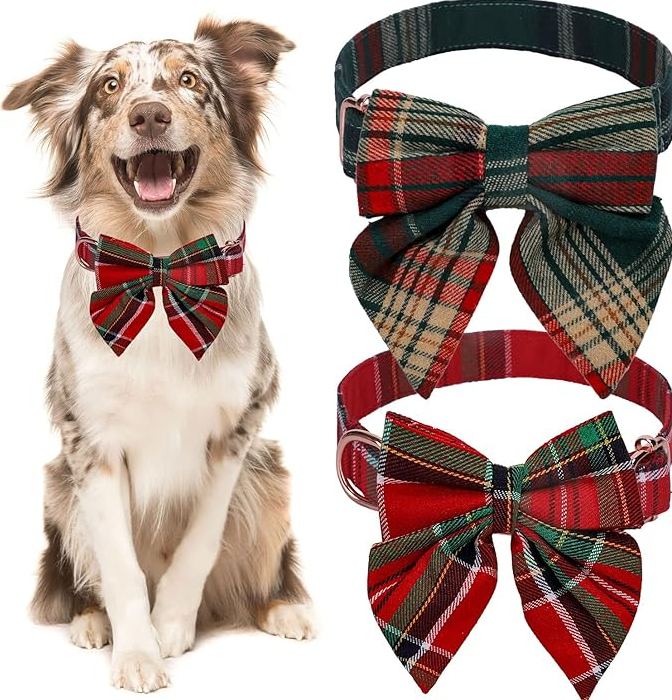 Stylish dog fashion: checkered collar in red and green with an attached festive bow tie.