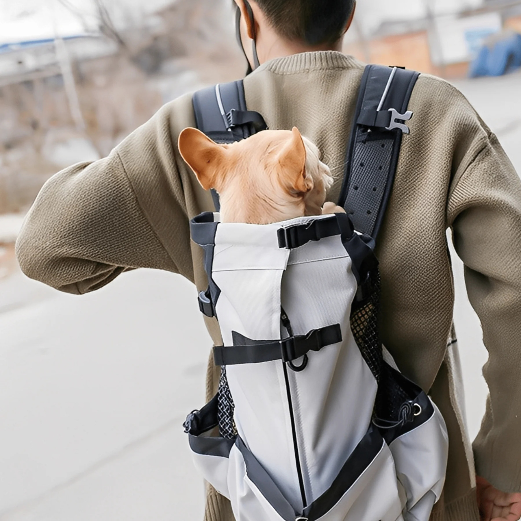 Red hands-free pet dog carrier backpack for small dogs, perfect for outdoor adventures and travel