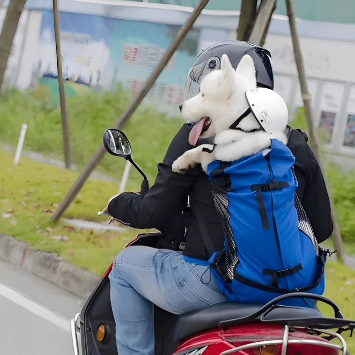 Small dog peeking out of a breathable mesh pet carrier backpack, ideal for comfortable pet travel