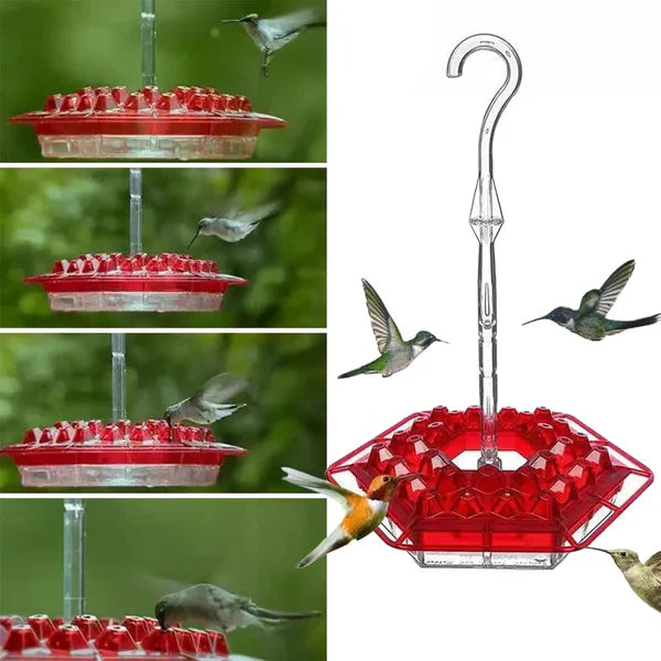 Red hanging hummingbird feeder with ant moat, perfect for outdoor garden birdwatching