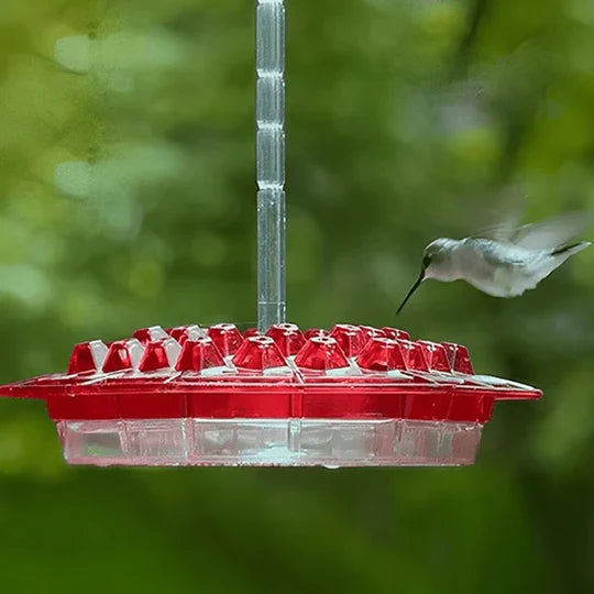 Durable ant-proof hummingbird feeder, ideal outdoor nectar station for garden wildlife