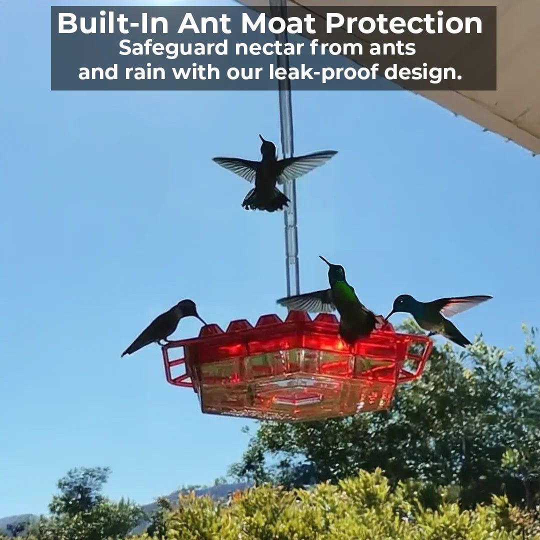 Outdoor hanging bird feeder, specifically designed for hummingbirds with ant protection