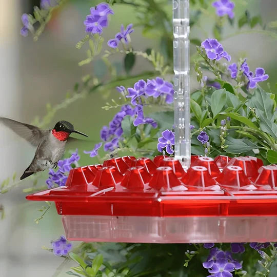 Garden hummingbird feeder with built-in ant moat, ensuring clean nectar for birds