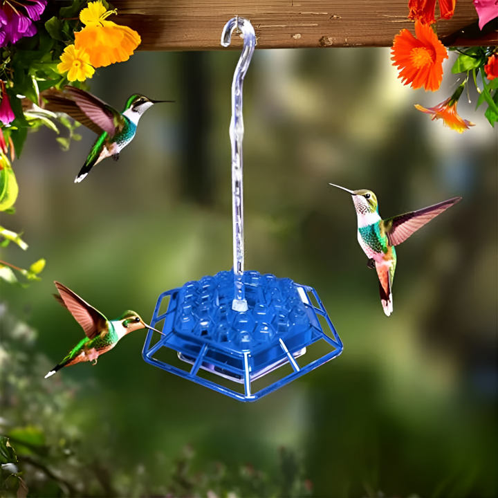 Hummingbirds feed from a vibrant red feeder with ant moat & bee deterrent. Ideal backyard bird decor.