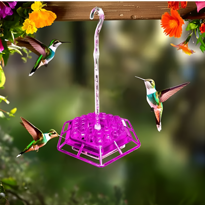 Pest-free hummingbird feeder with ant moat & bee deterrent. Attracts backyard birds; great garden decor.