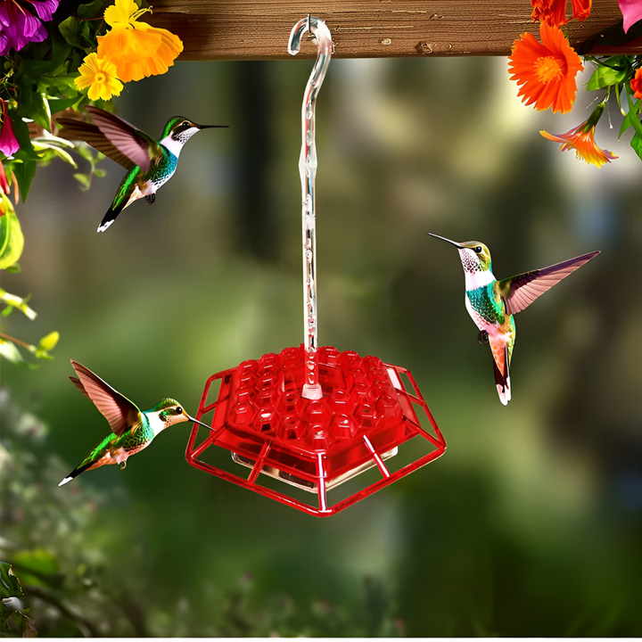 Clear & red polycarbonate hummingbird feeder with ant moat & bee deterrent. Best for backyard birds.
