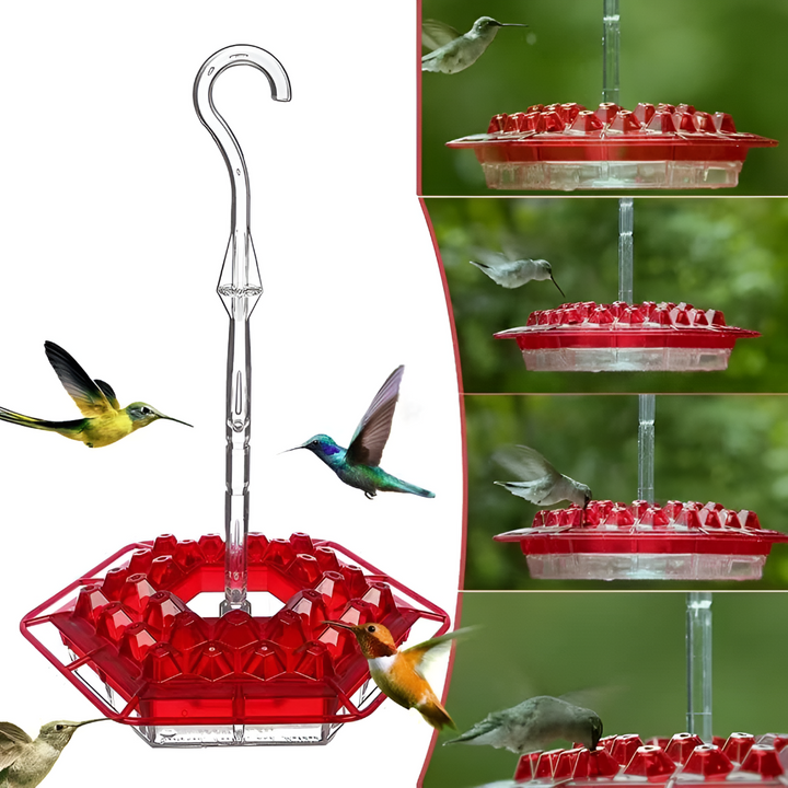 Stylish red hummingbird feeder for outdoor living. Pest-free design with ant moat & bee deterrent.