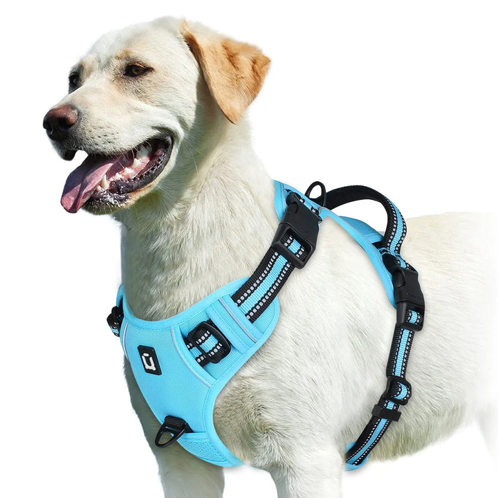 Reflective grey no-pull dog harness, adjustable for secure and safe walking