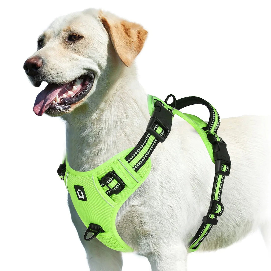 Side view of purple padded dog harness, breathable mesh for pet comfort