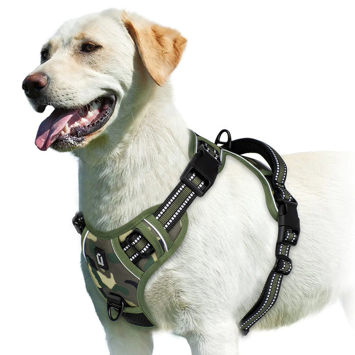 No-pull pet harness in a vibrant orange, fully adjustable for all dog sizes