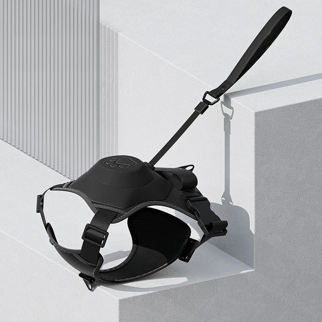 No-pull dog harness shown from top view, highlighting breathable fabric and even pressure distribution