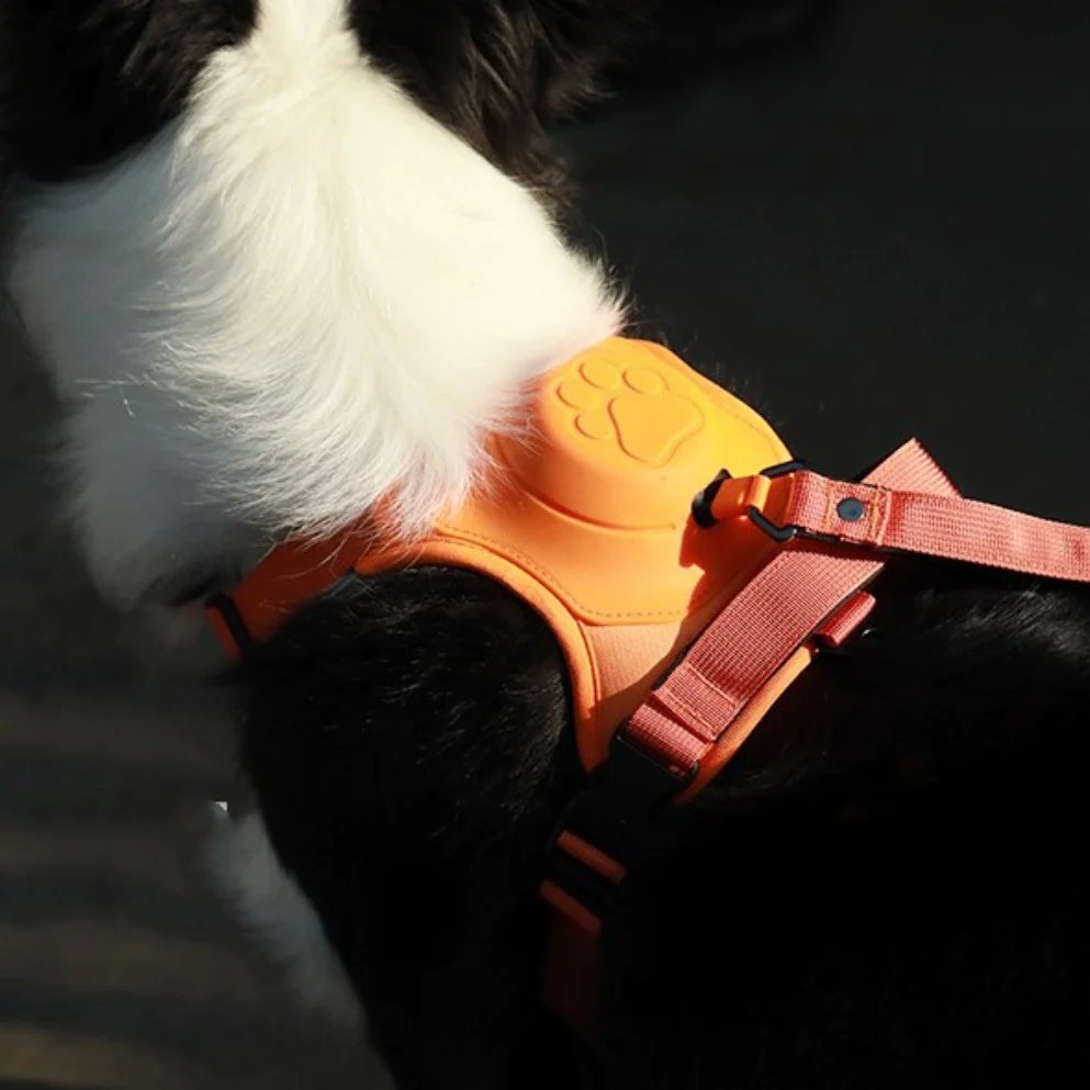 Purple dog harness with handle, breathable mesh, adjustable straps for medium-sized breeds