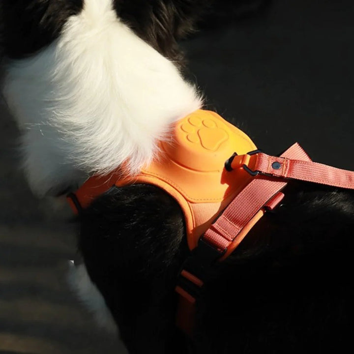 Purple dog harness with handle, breathable mesh, adjustable straps for medium-sized breeds