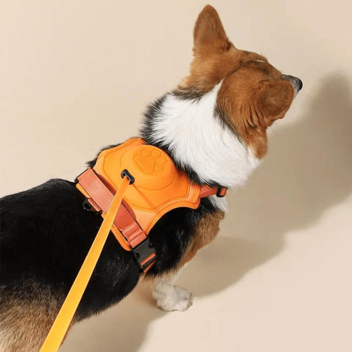 Orange no-pull dog harness for walking, heavy-duty buckle, comfort fit for active large dogs