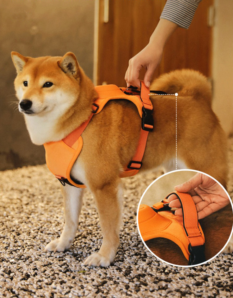 Grey breathable dog harness set with matching leash, ideal for medium to large dog training