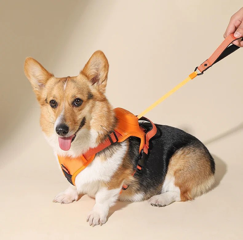 Pink no-pull dog harness, easy-on design, soft padding for comfortable pet outdoor adventures