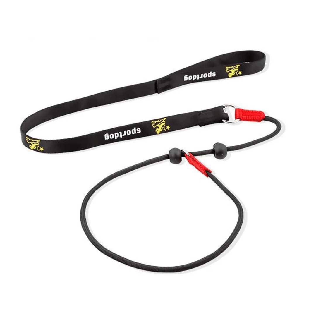 Adjustable black slip lead dog leash, durable nylon rope for training